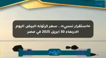 «استقرار نسبي».. سعر كرتونة البيض اليوم الأربعاء 30 أبريل 2025 في مصر